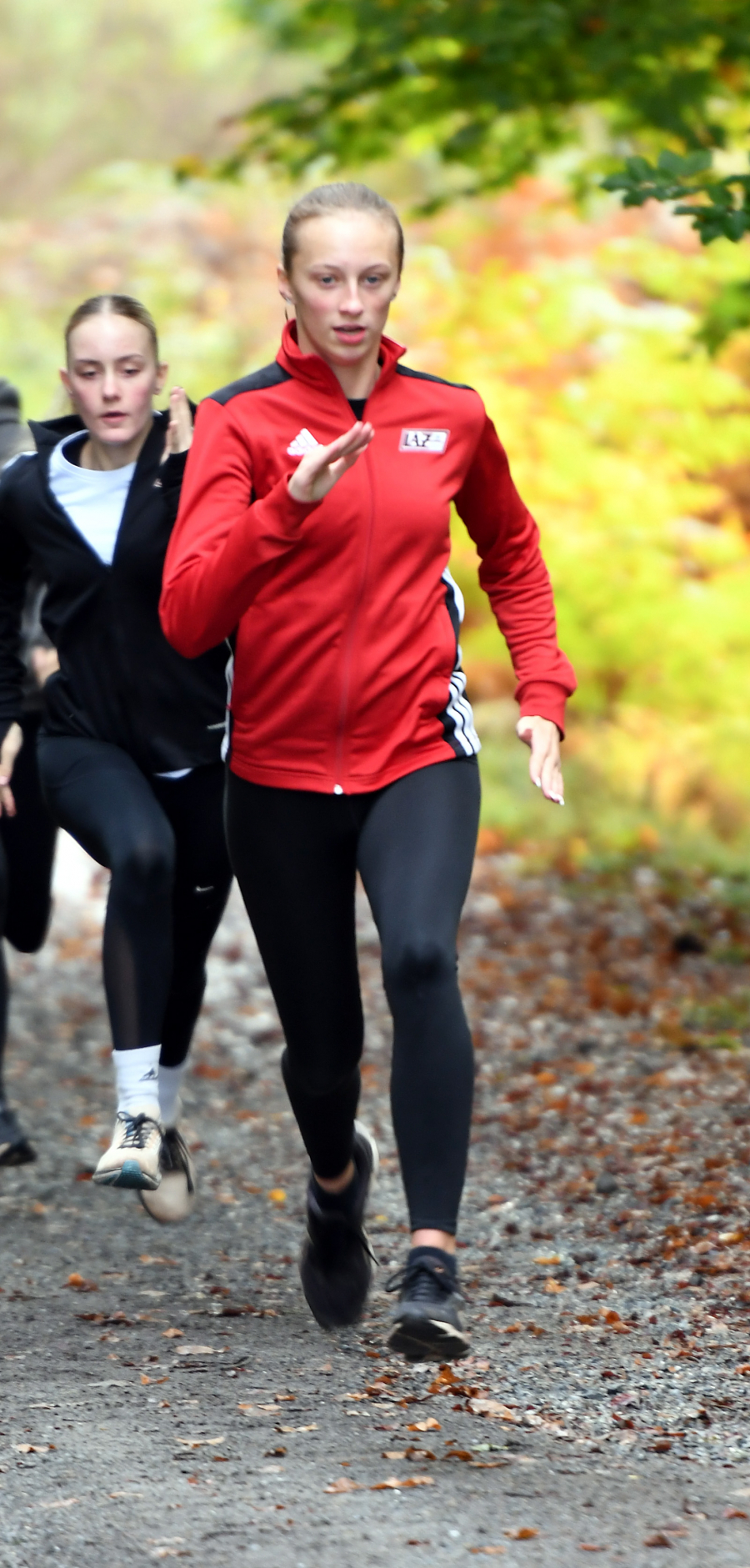 Impressionen vom Training im Arnsberger Wald. Foto: Bottin