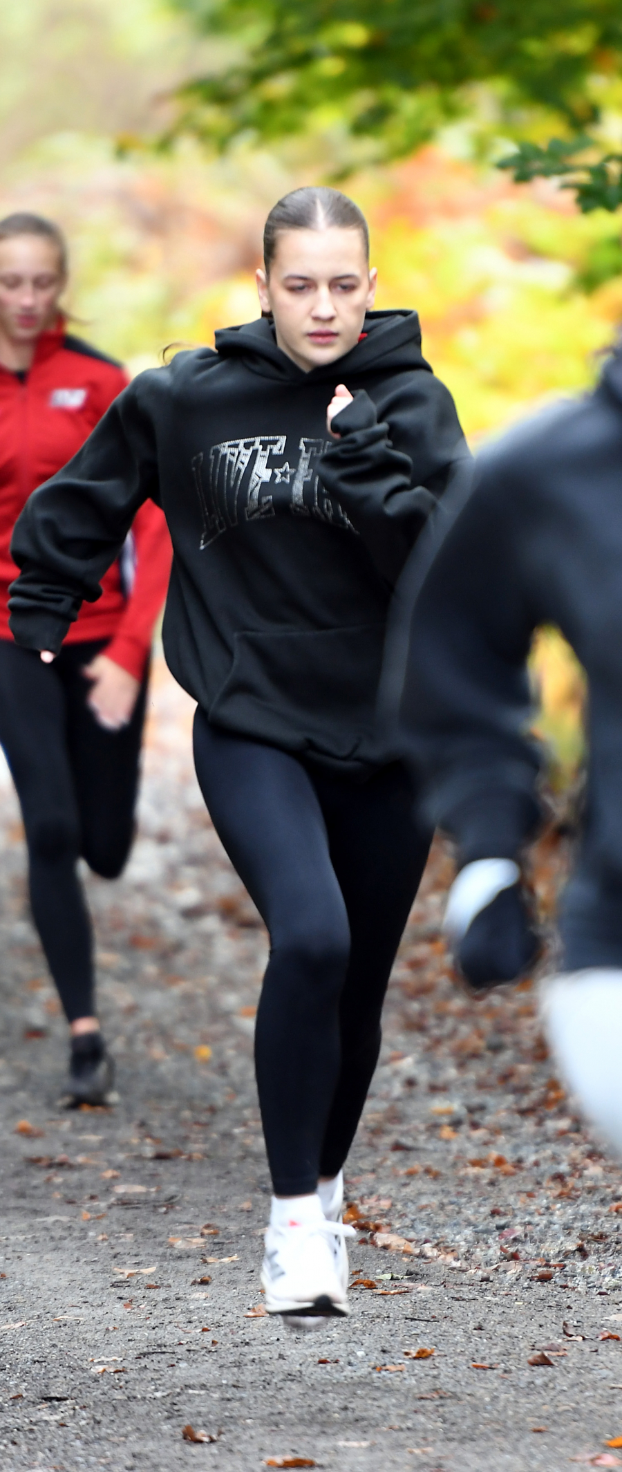 Impressionen vom Training im Arnsberger Wald. Foto: Bottin