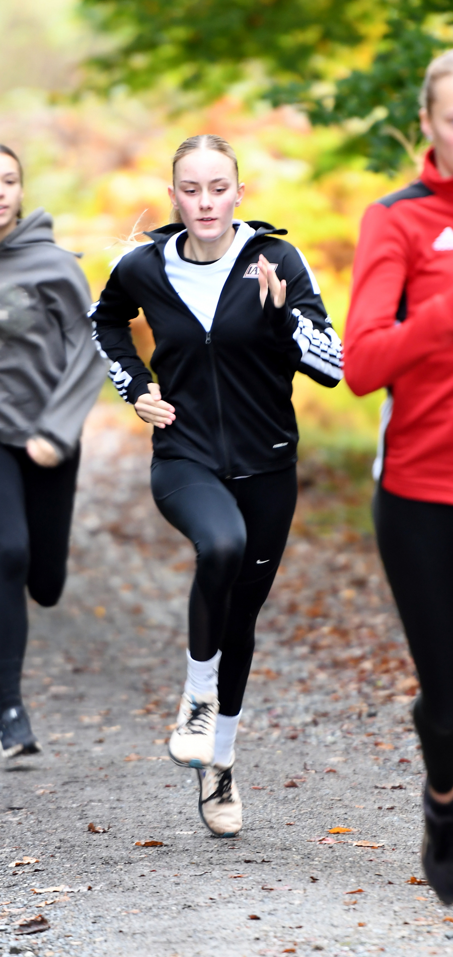 Impressionen vom Training im Arnsberger Wald. Foto: Bottin